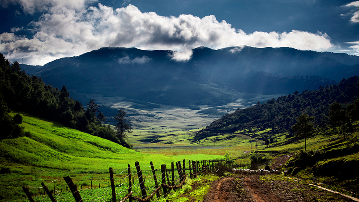攀枝花 從鋼鐵重鎮(zhèn)到國家認證的“天堂”
