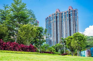 購房正當(dāng)時 全員營銷月火熱開啟，攀枝花置業(yè)享好禮